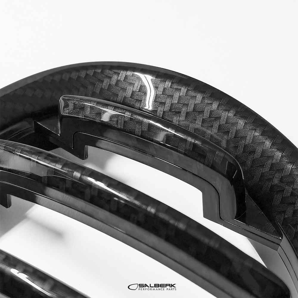 salberk performance 8502C - Carbon Optik Nieren