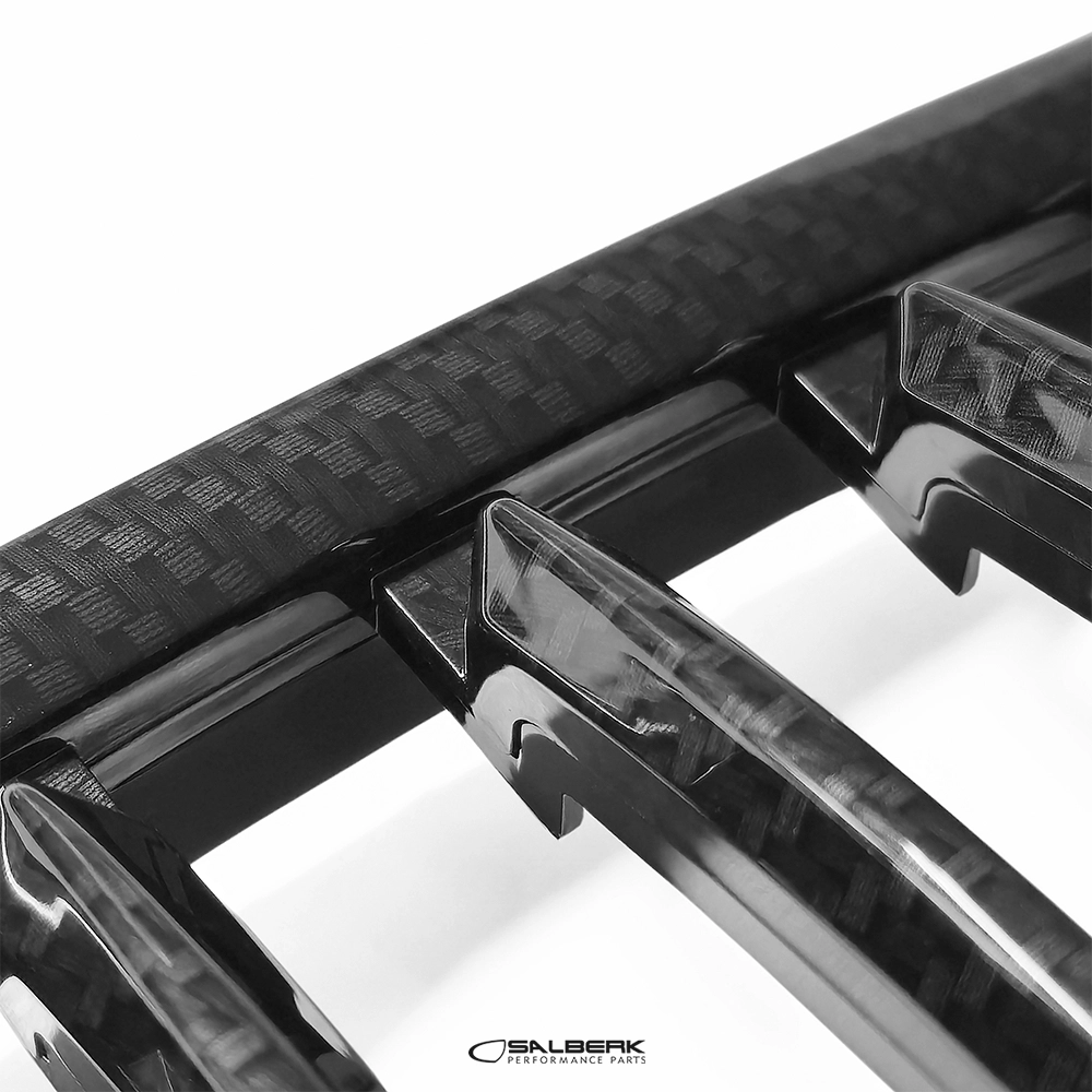 salberk performance 8502C - Carbon Optik Nieren