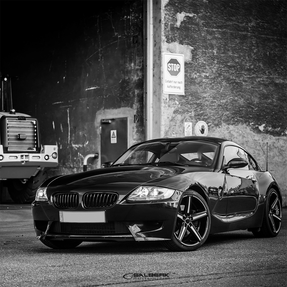 salberk performance 8502C - Carbon Optik Nieren