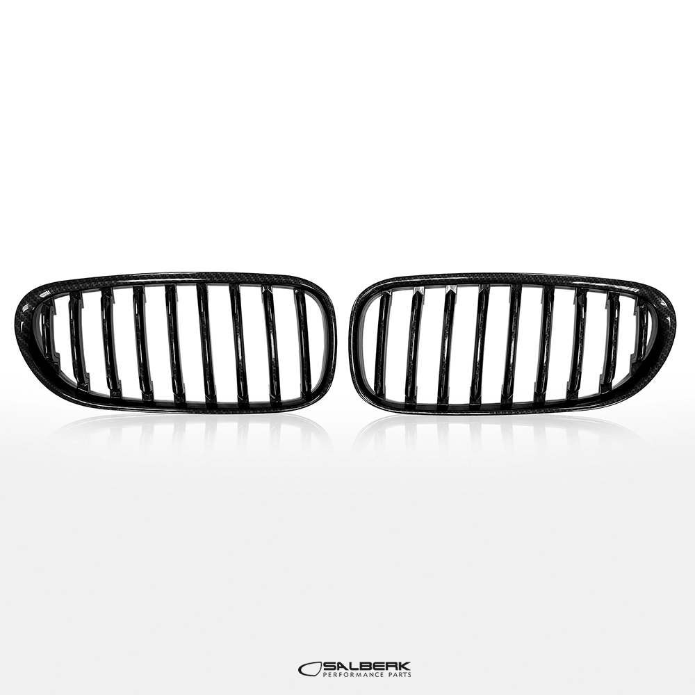 salberk performance 8502C - Carbon Optik Nieren