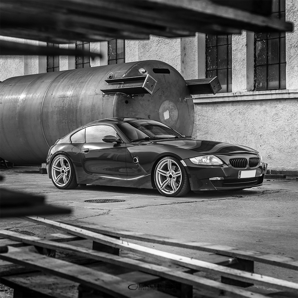 salberk performance 8502C - Carbon Optik Nieren