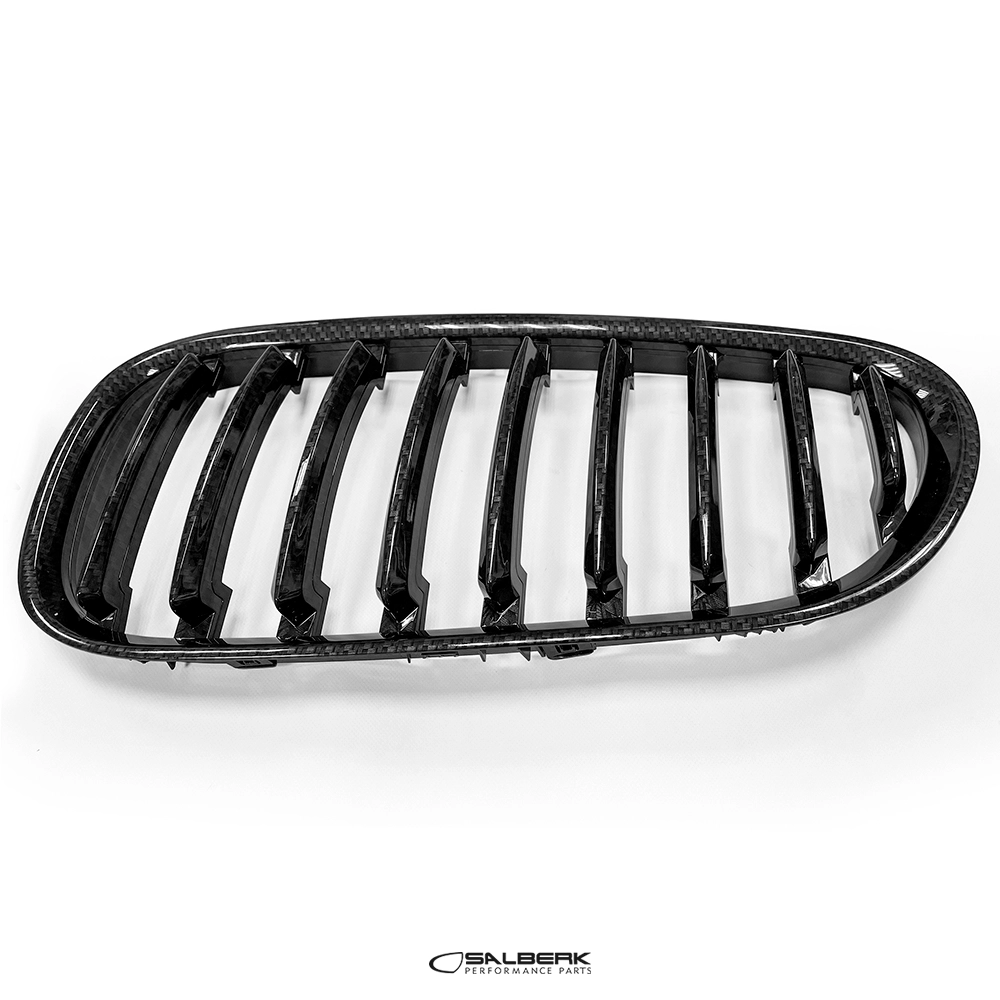 salberk performance 8502C - Carbon Optik Nieren